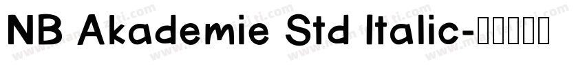 NB Akademie Std Italic字体转换